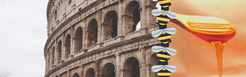 Il miele era utilizzato nell'Antica Roma al posto per l'olio in frittura